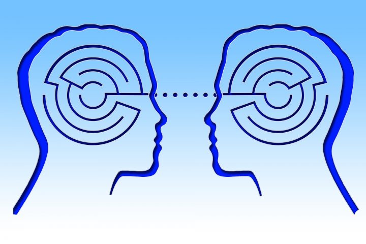 Neuroanatomía de la comunicación