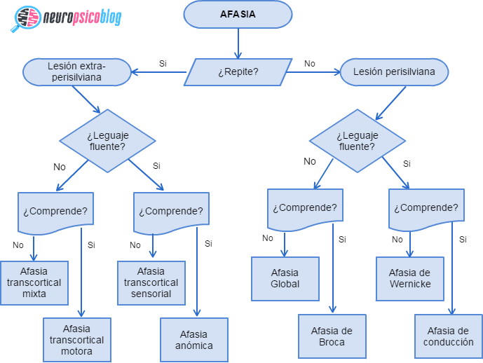 Las afasias: tipos, síntomas y comprensión actual desde la neuropsicología