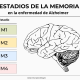 los 4 estadios de la memoria en la enfermedad e alzheimer